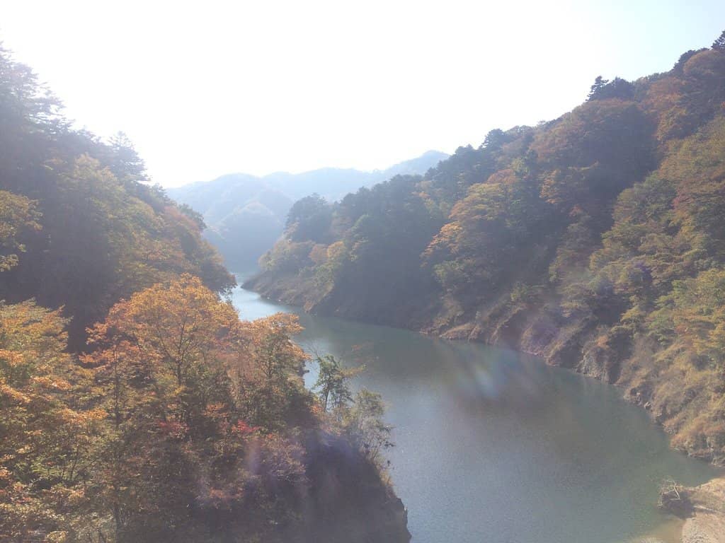 Vertical photo