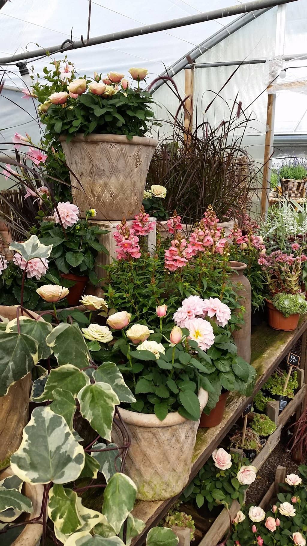 The Garden Cafe