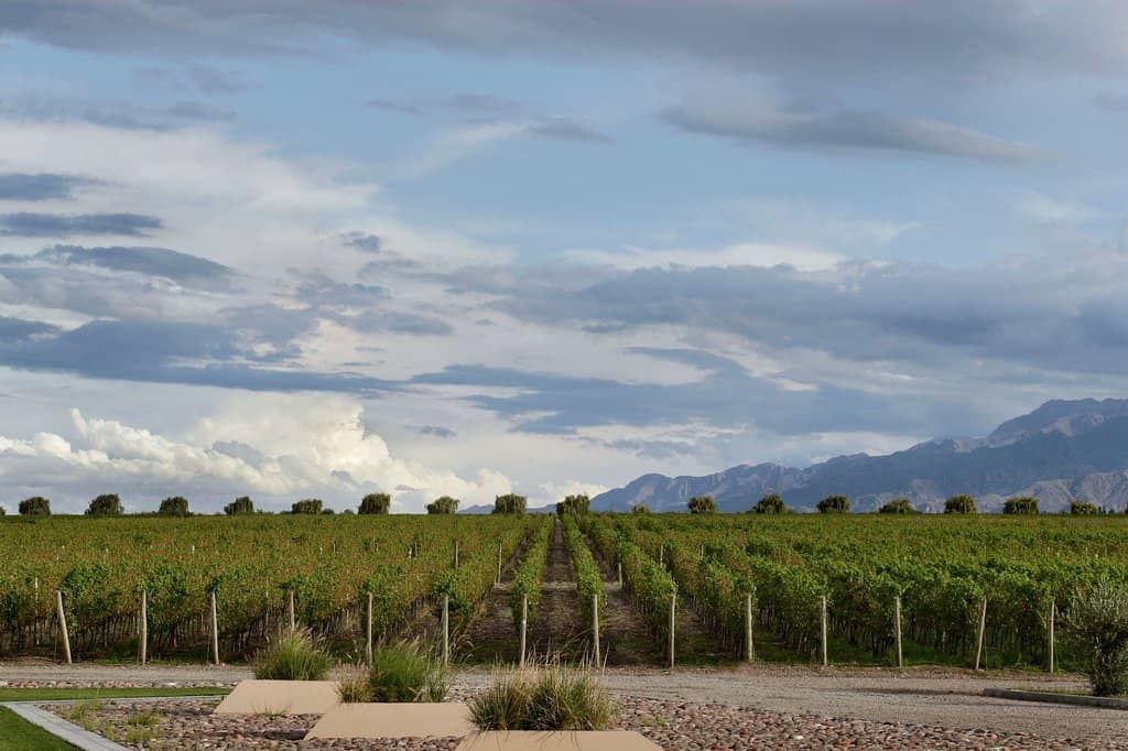 Wine Tasting Sessions
