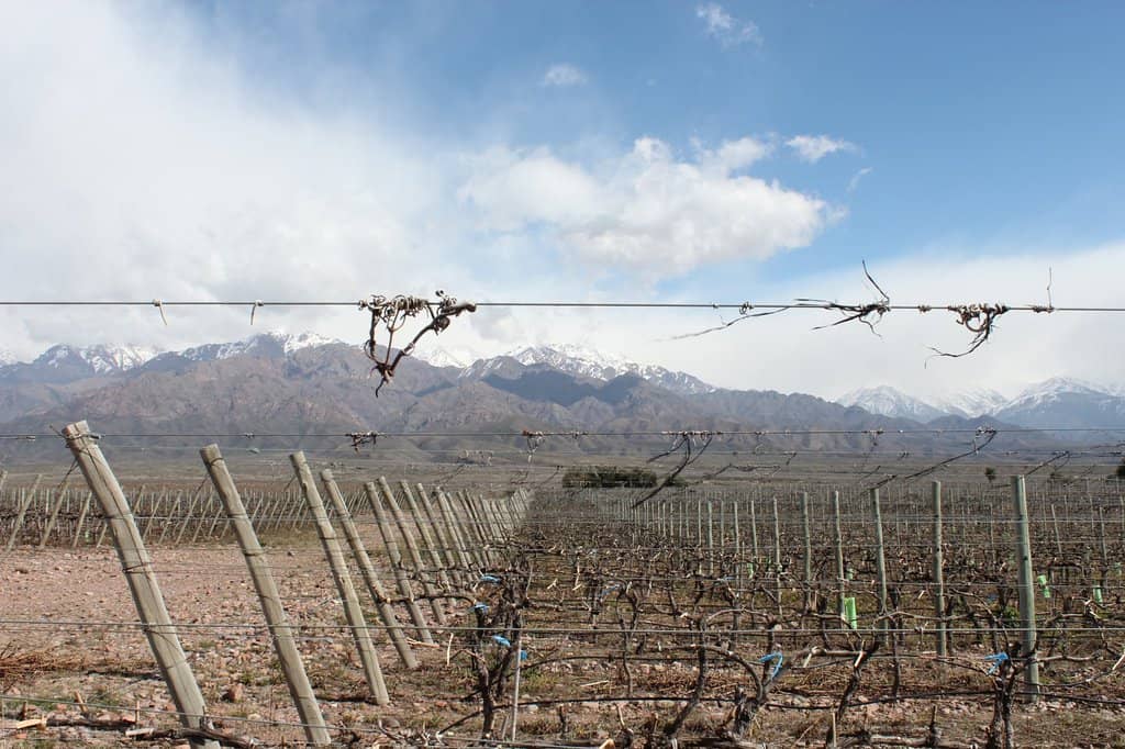 Clos de los Siete Project