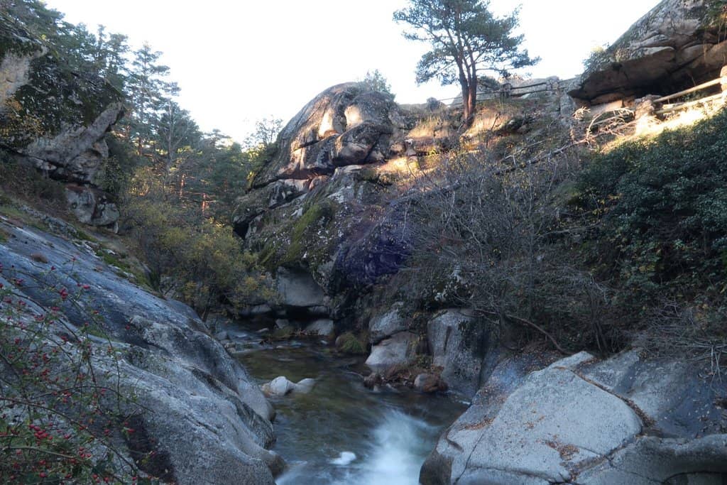Valsaín Forest Exploration