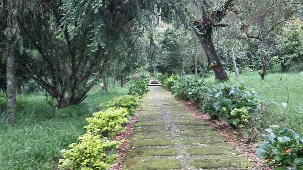 Contemporary Sculptures