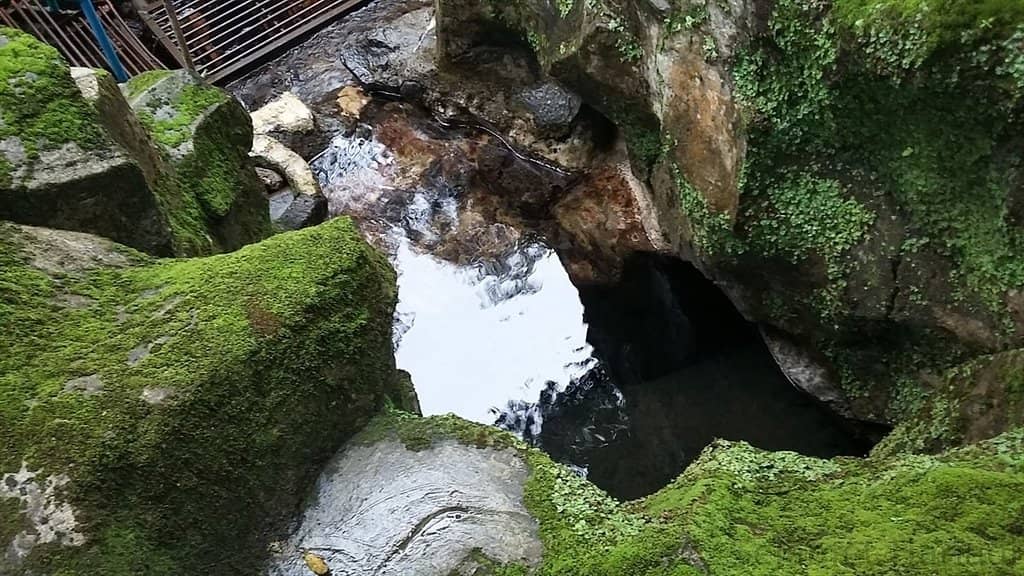Vertical photo