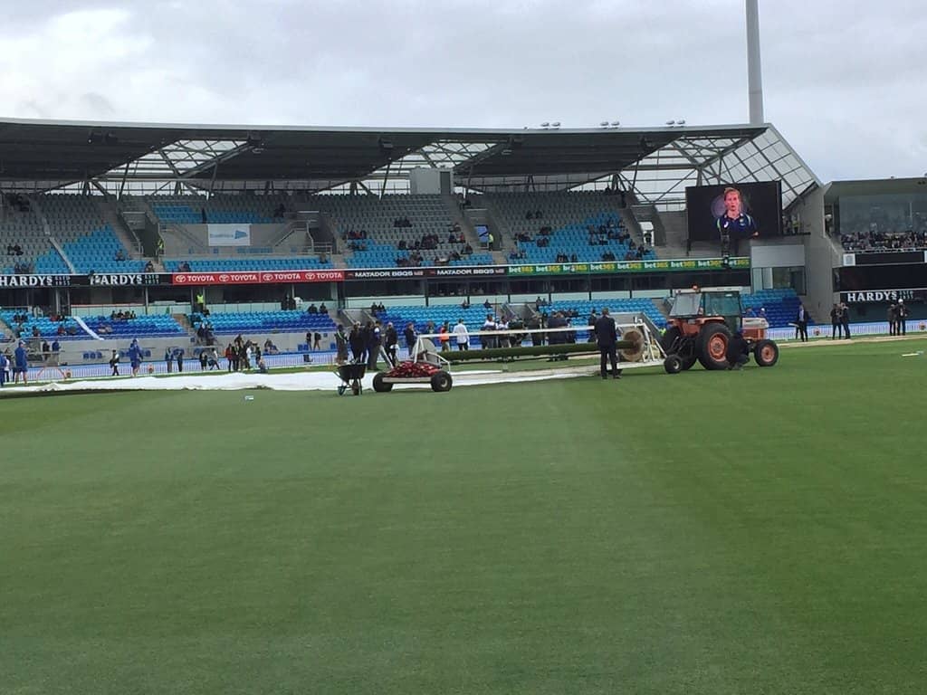 AFL & BBL Action