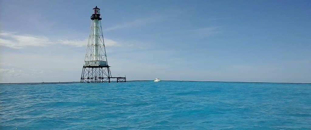 Vibrant Coral Reefs