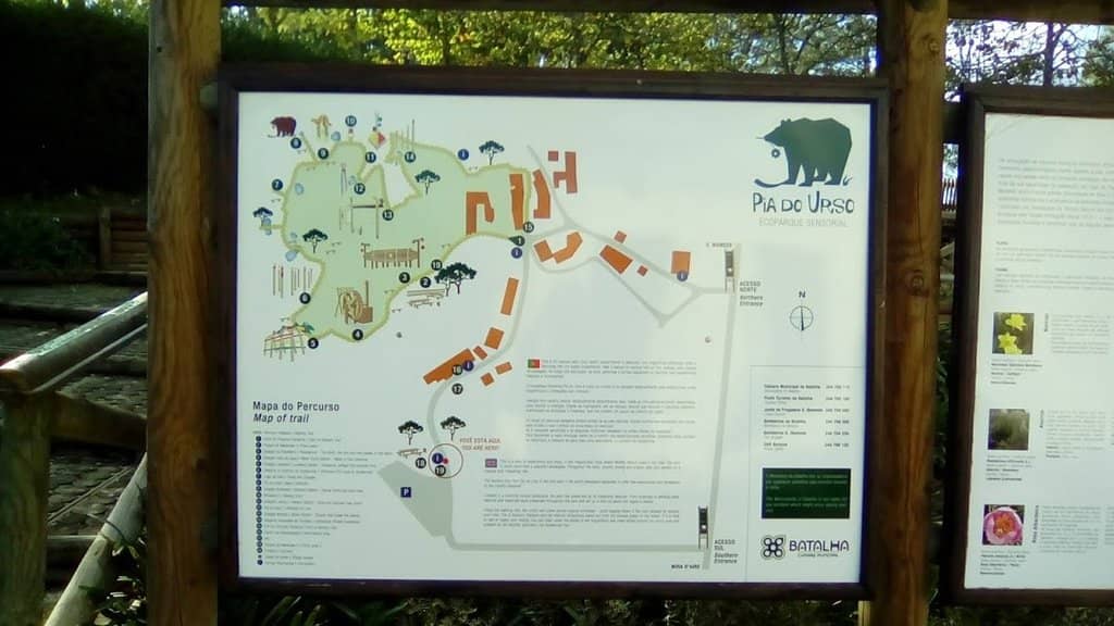 Picnic Paradise