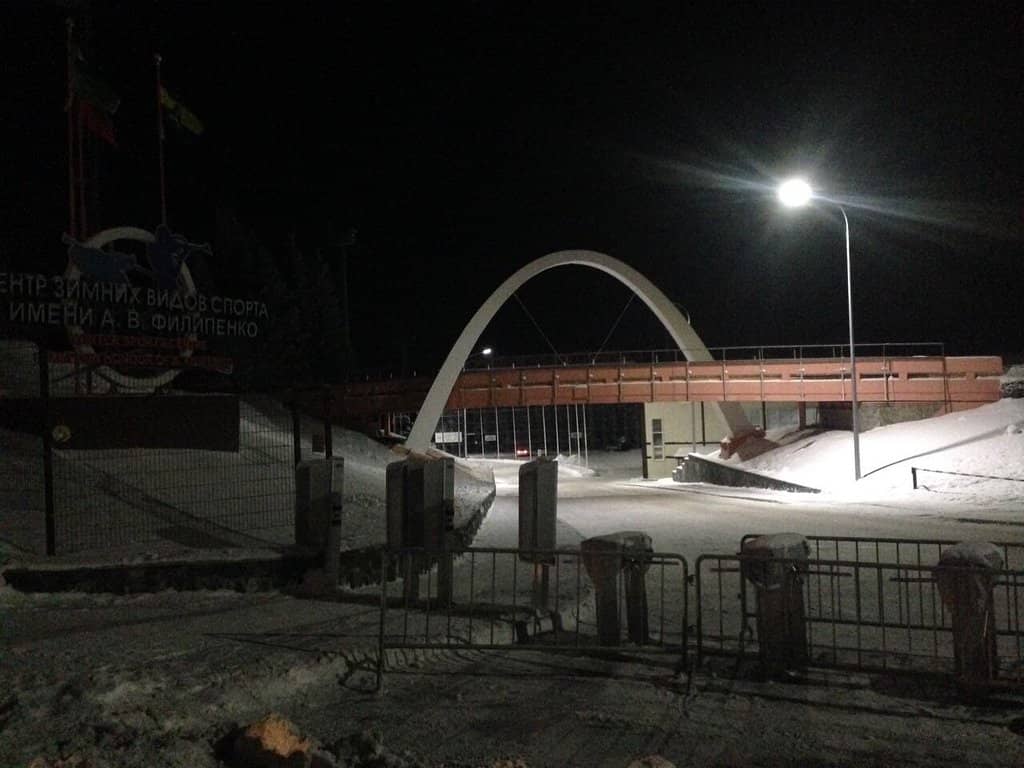 Summer Forest Trails