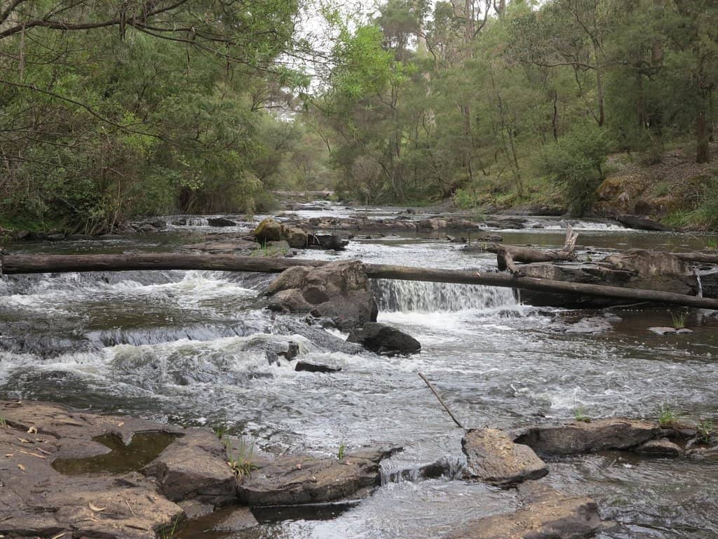 Natural Swimming Pool