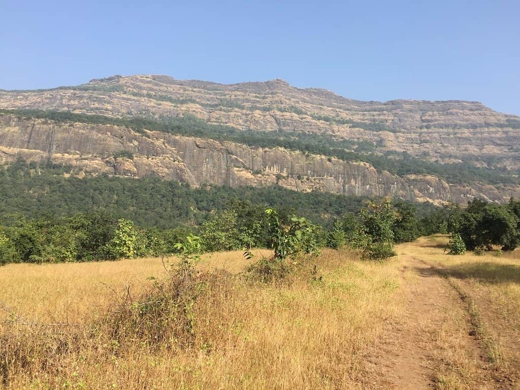 Monsoon Waterfalls & Misty Trails