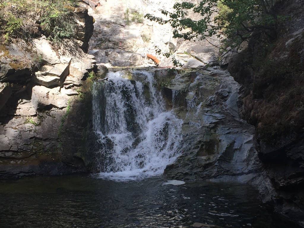 Vertical photo