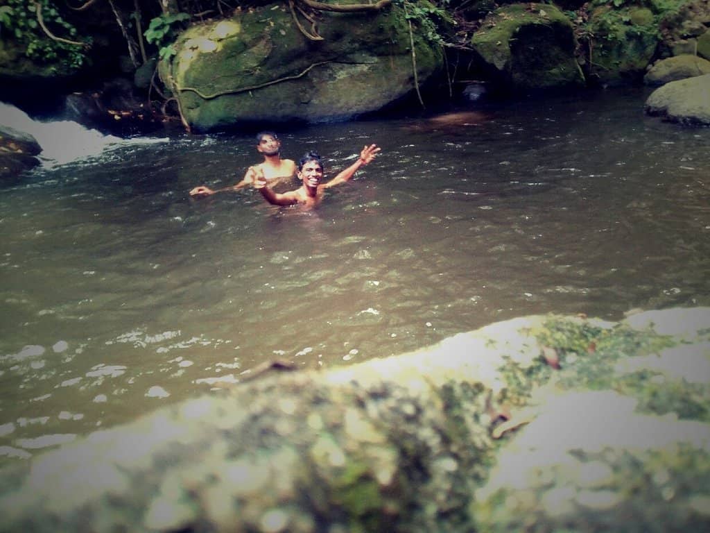 Forest Trek