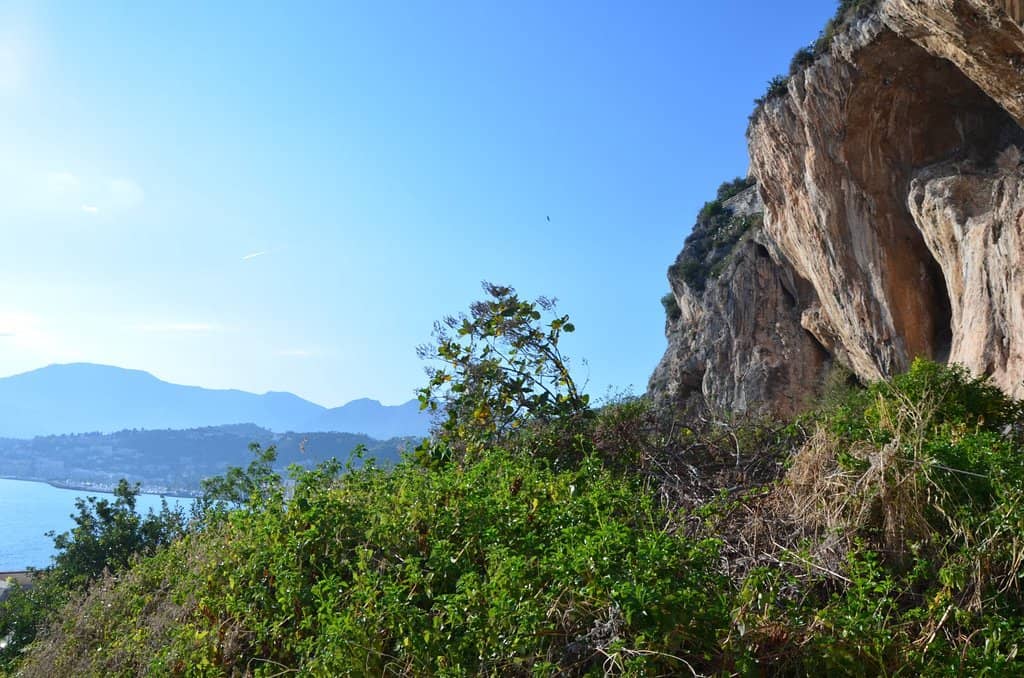 Vertical photo