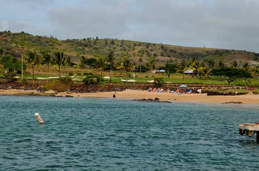 Local Grilling & Picnics