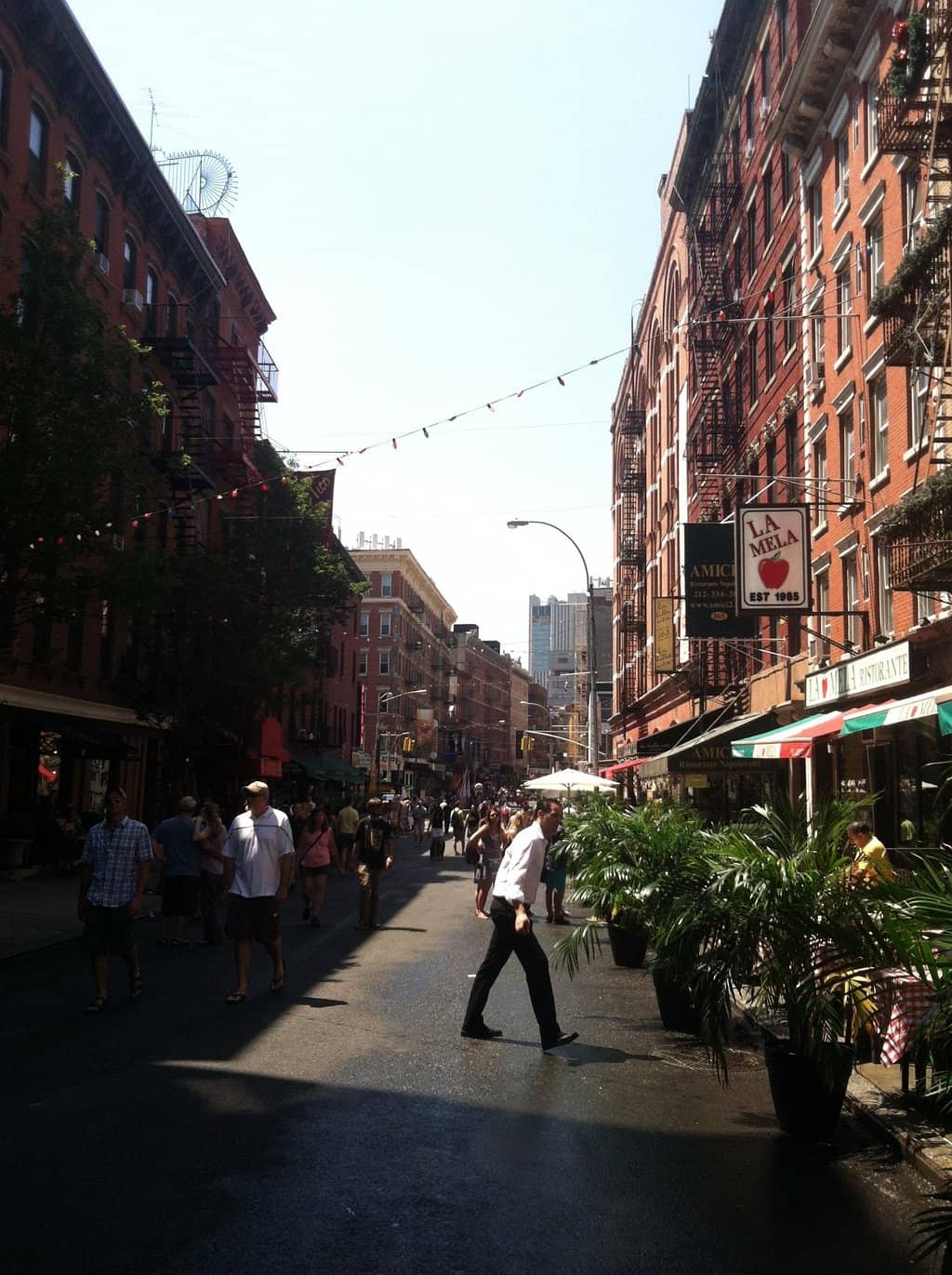 Historic Skyline Presence