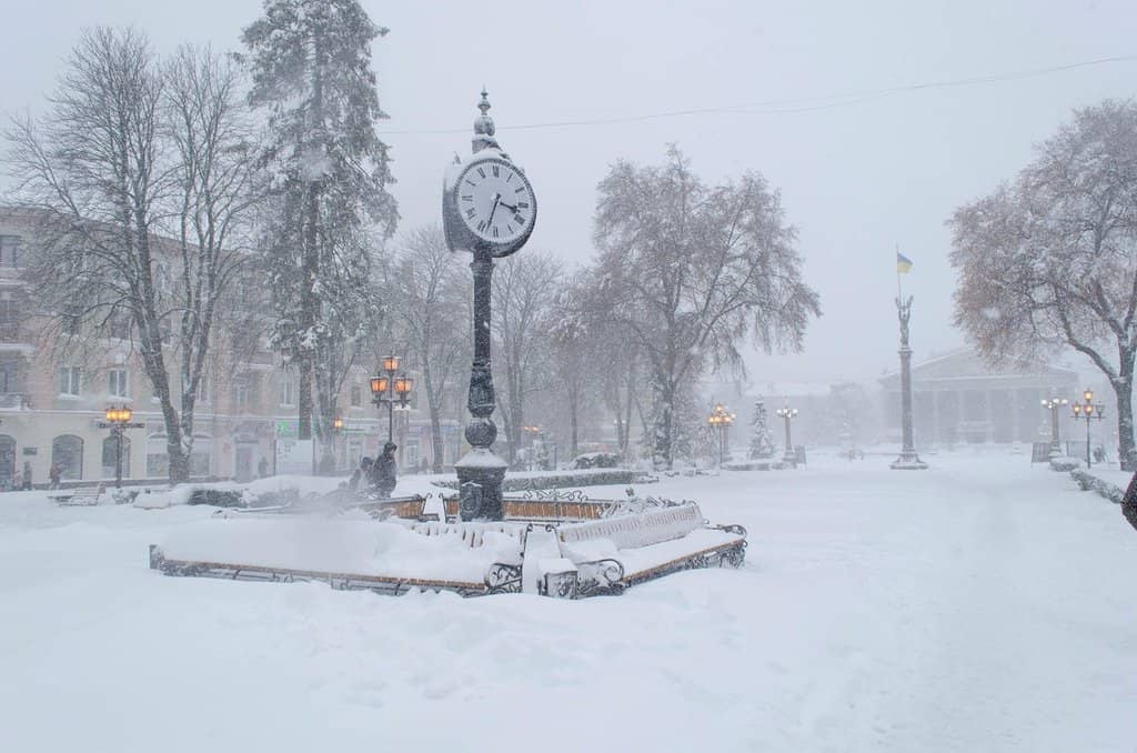 Live Theatre Performances