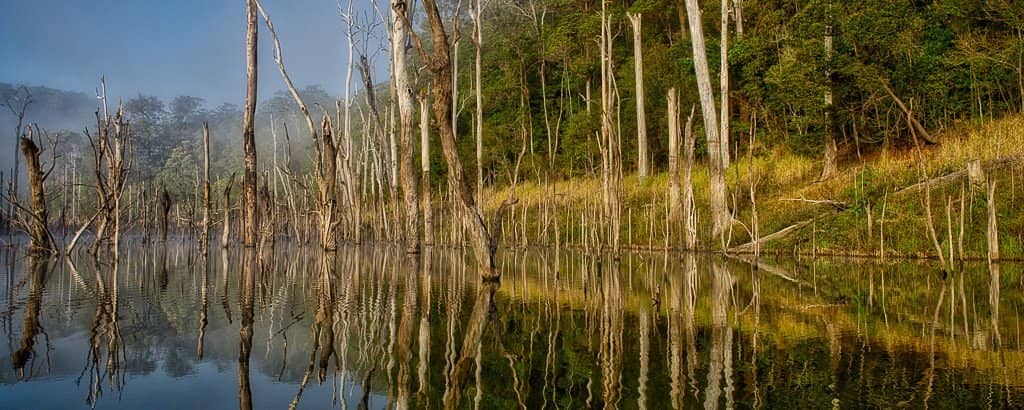 Obi Obi Gorge Lookout