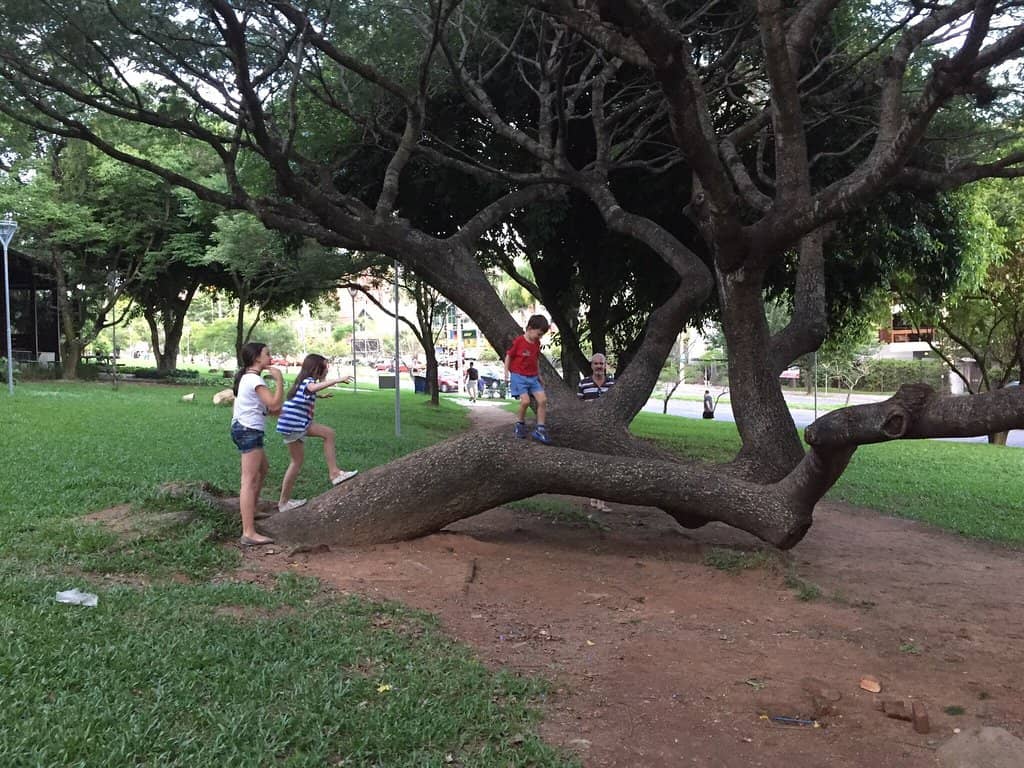 Shaded Walking Paths