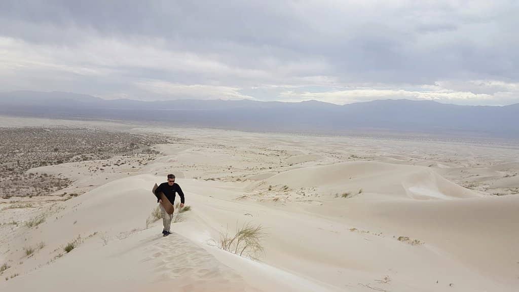 Expansive Dune Landscapes
