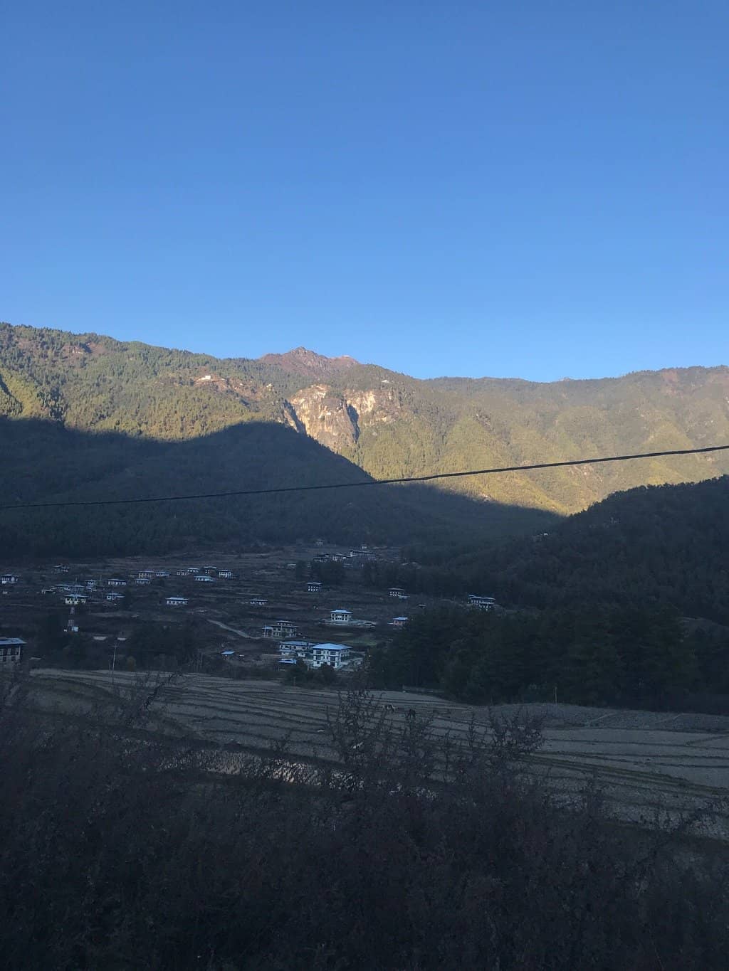 Ancient Artifacts & Thangkas