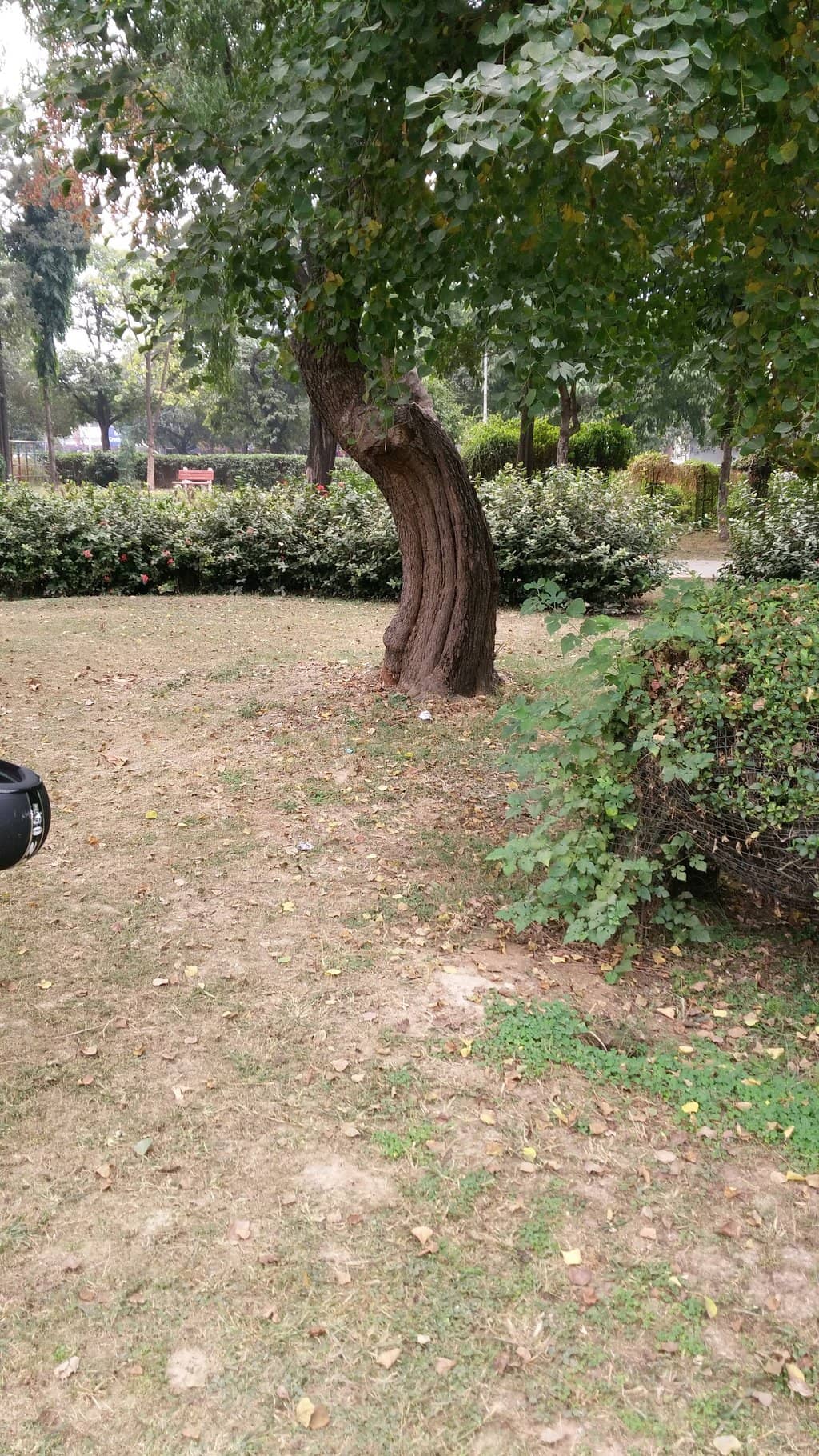 Ample Seating & Shade