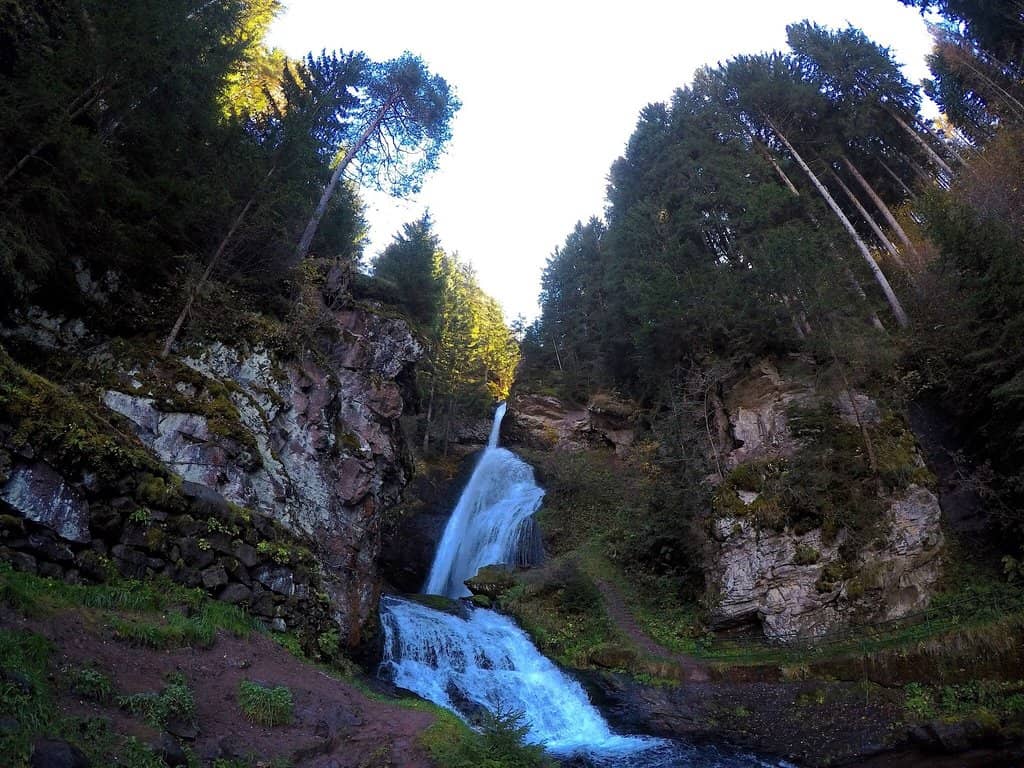Woodland Trails
