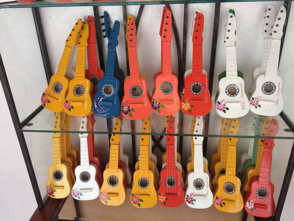 Diverse Instrument Showcase
