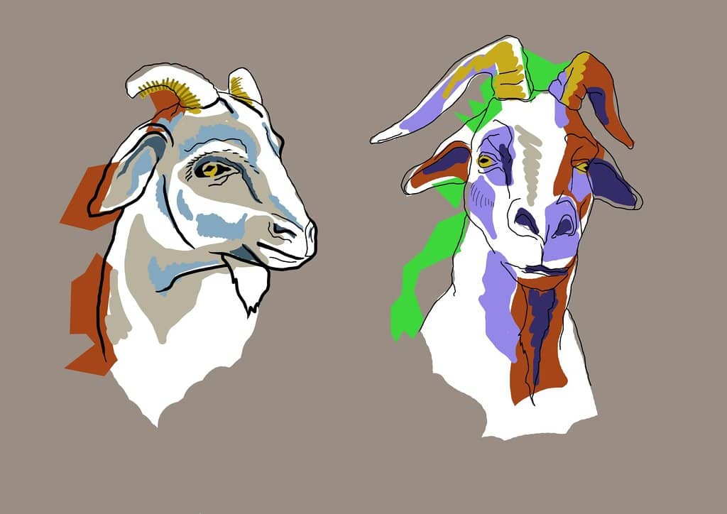 Third hero image