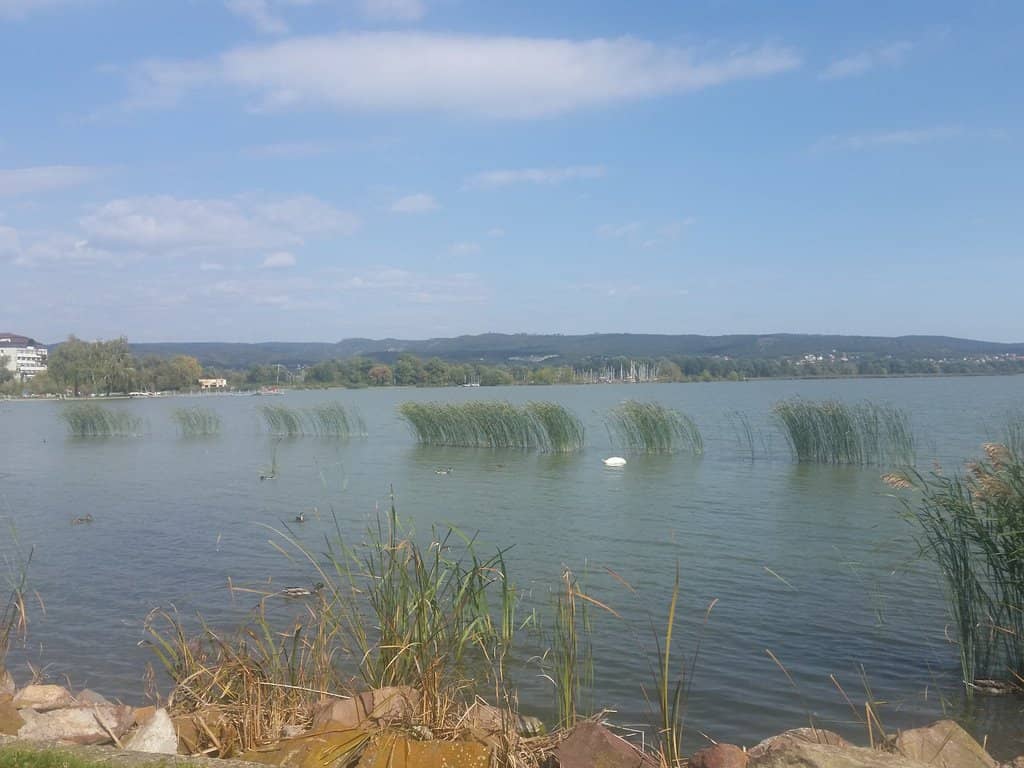 Lakeside Amusements