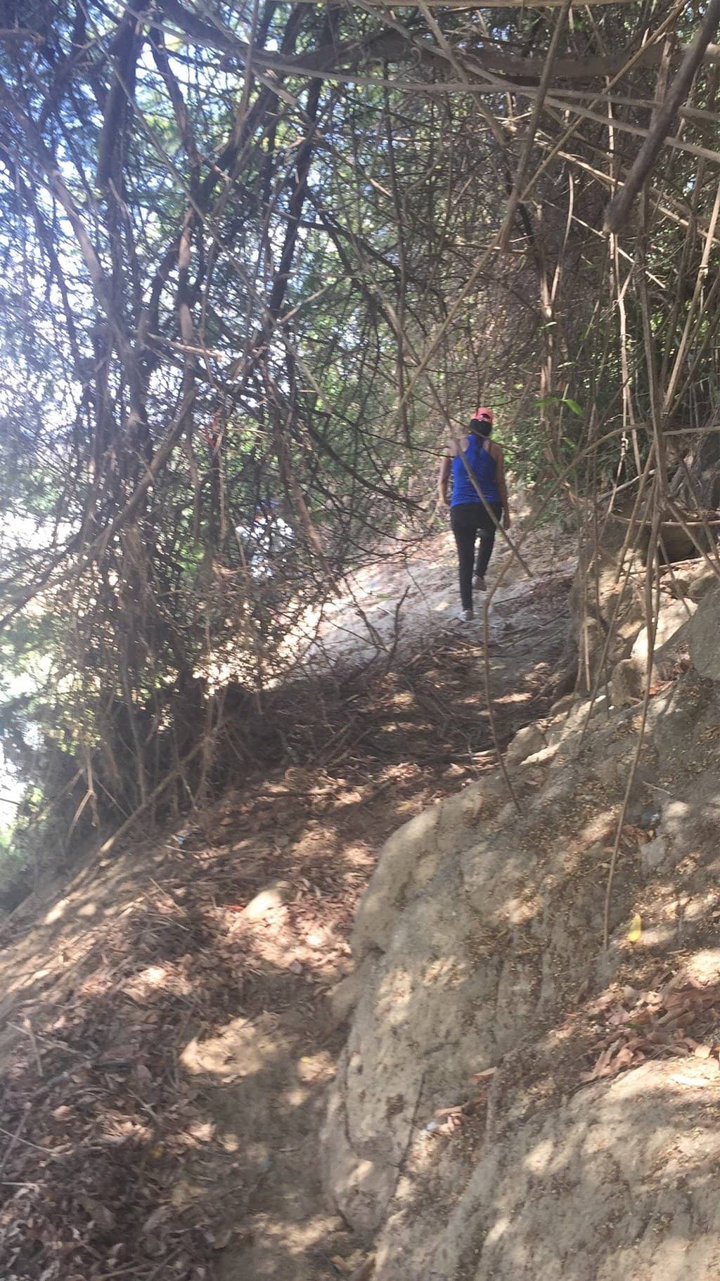 Unique Ecosystem Exploration