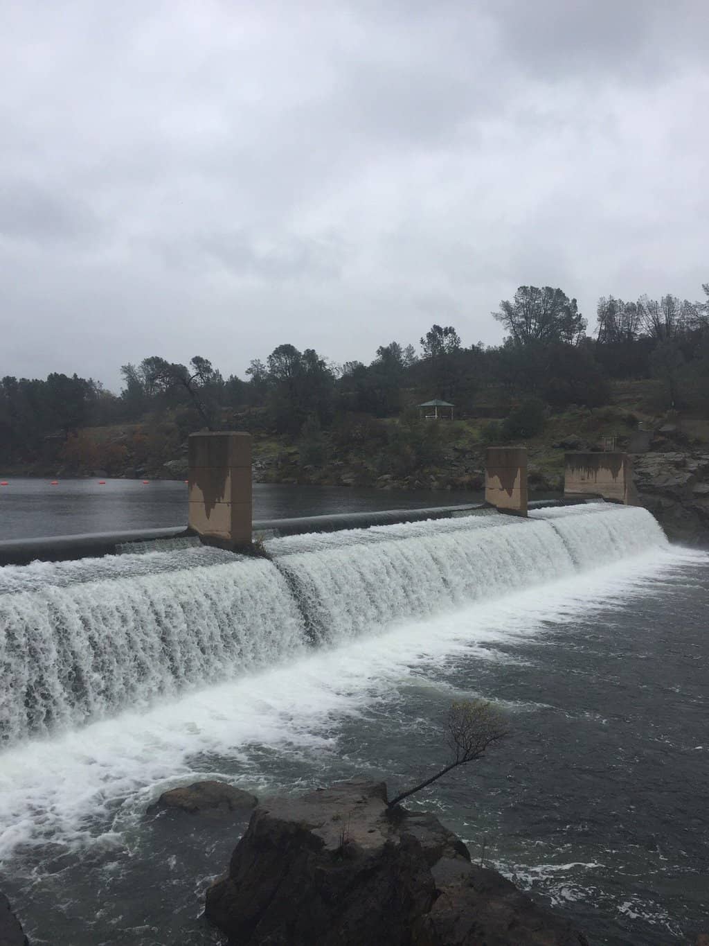 Fish Processing Room