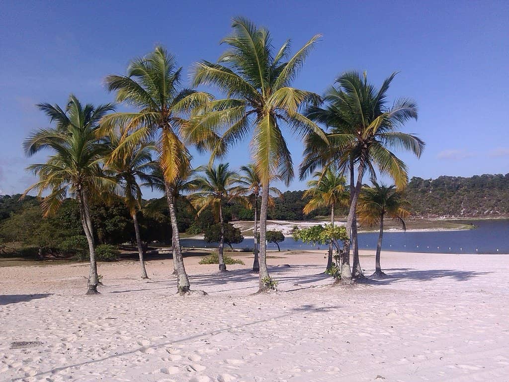 Lagoon and Dunes
