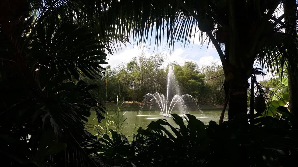 Vast Tropical Gardens