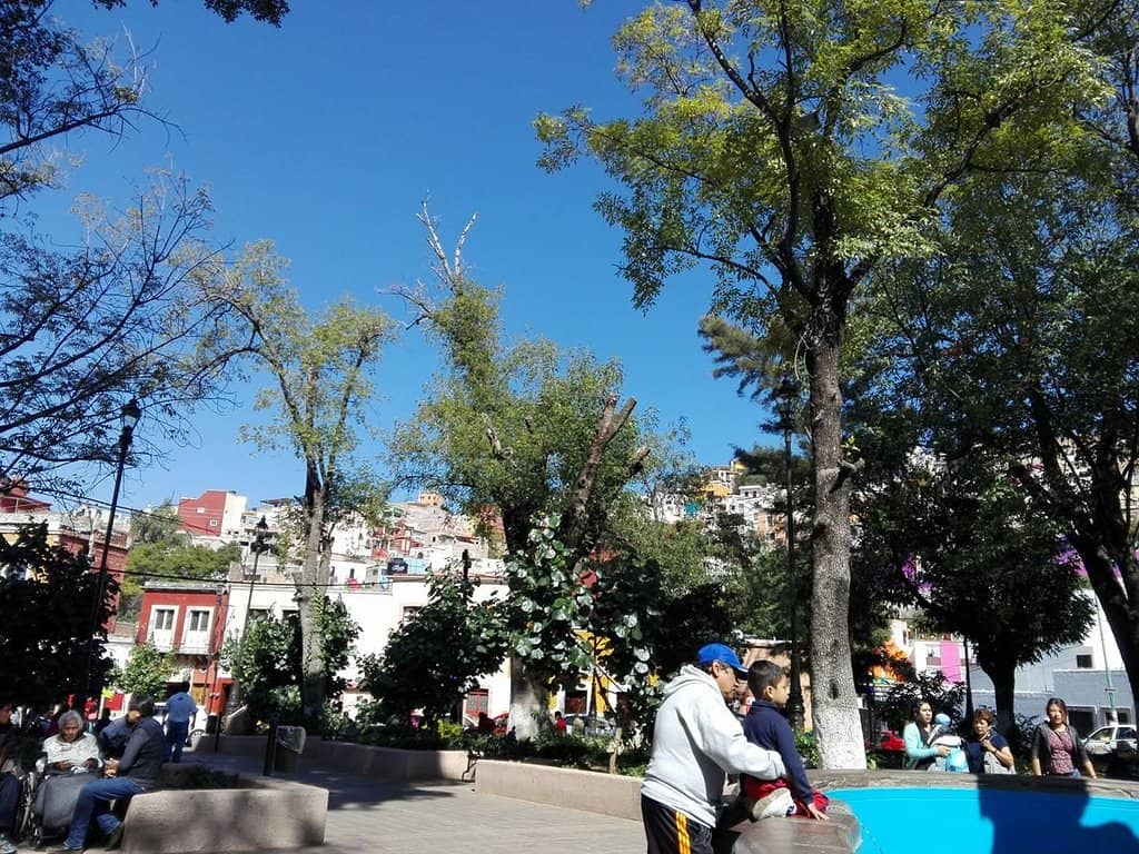 Local Produce & Groceries