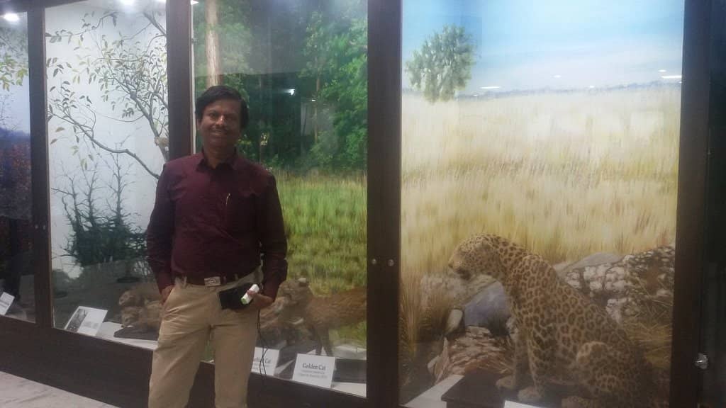 Zoological Specimens