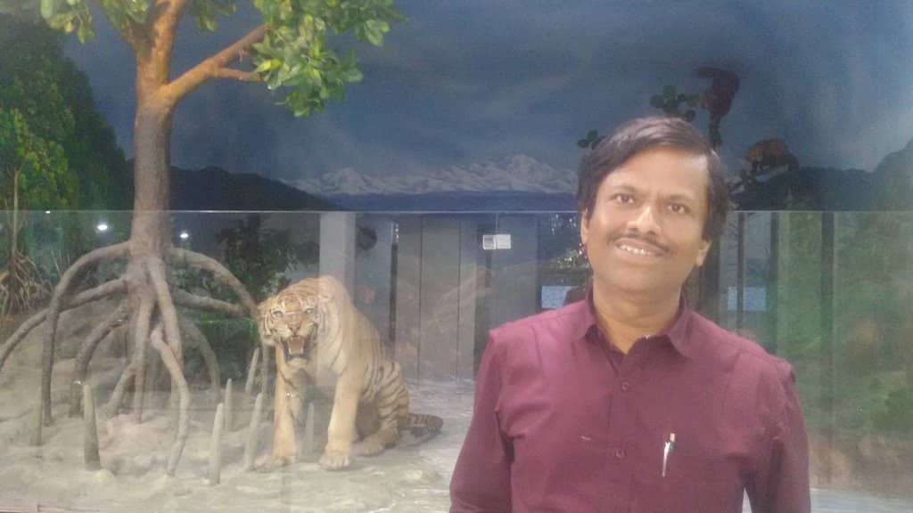 Insect & Lepidoptera Collection