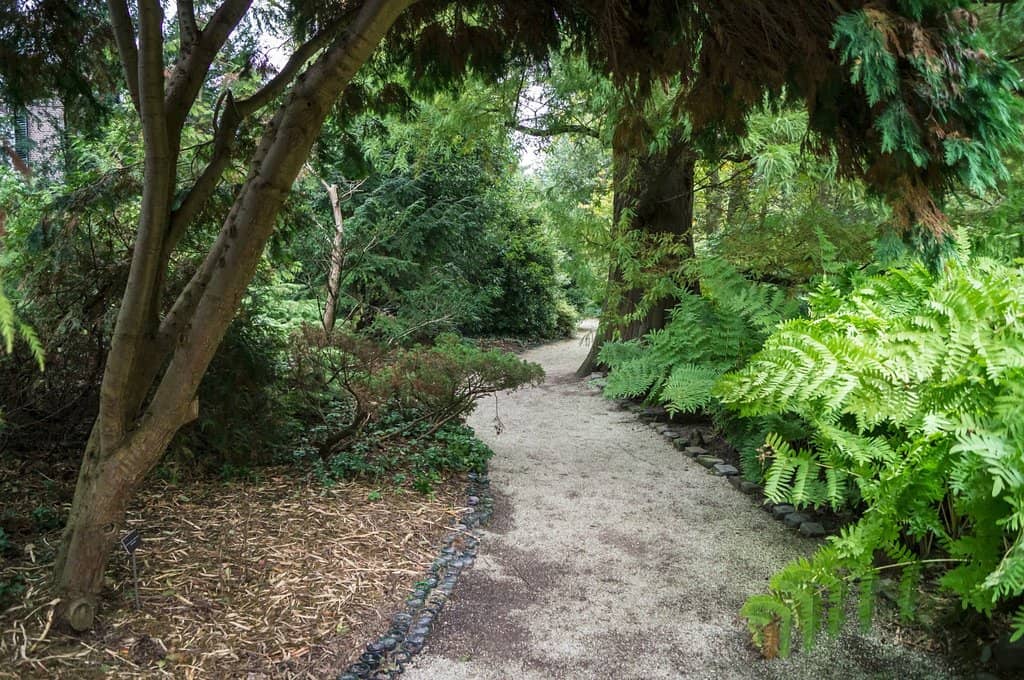 Peaceful Water Features