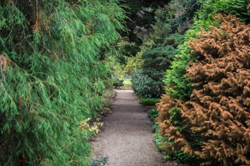 Secluded Edible Garden