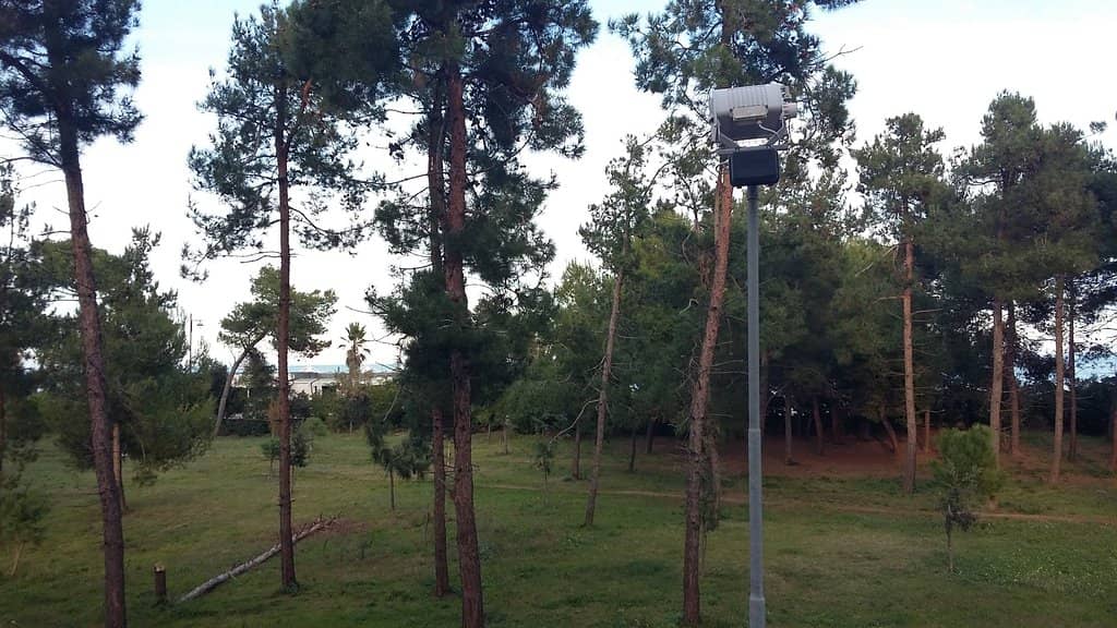 Vertical photo