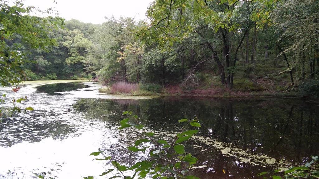 War Memorial & Scenic Walkway