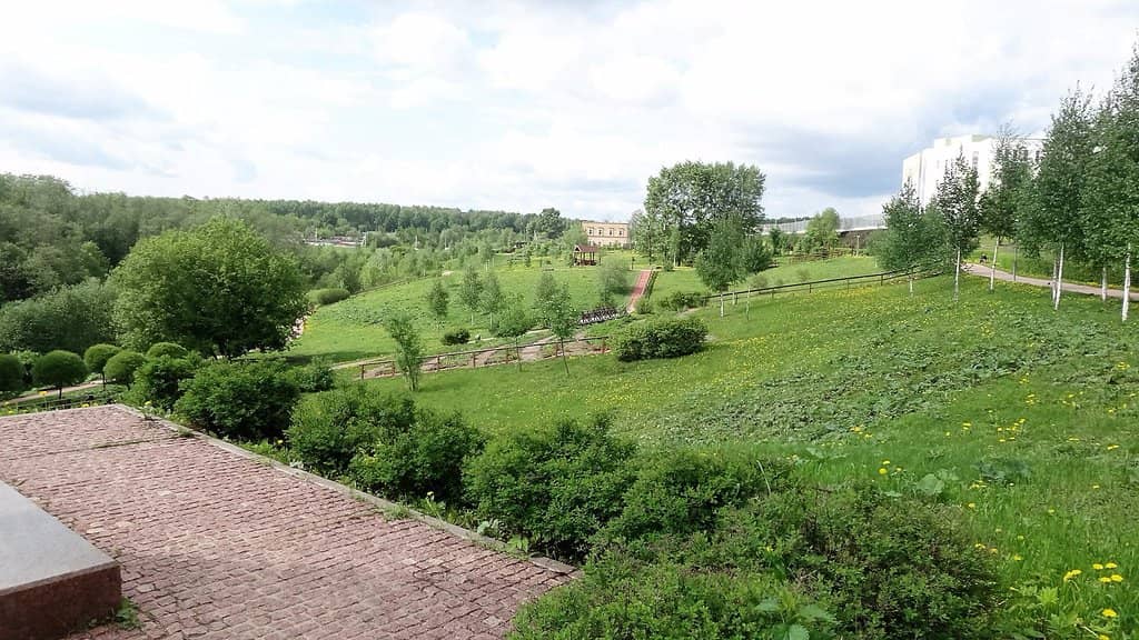 Picnic & BBQ Gazebos