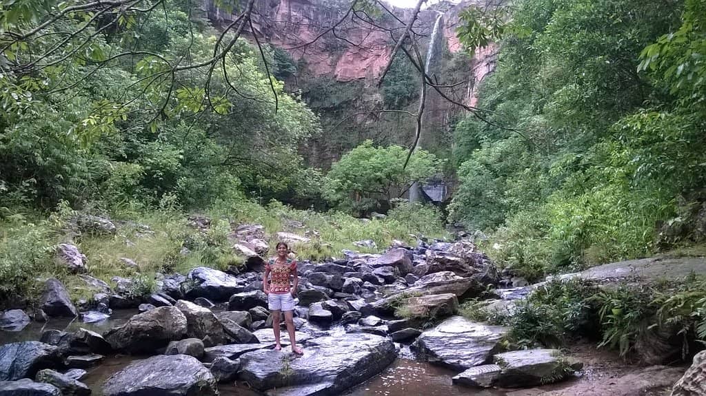 Delectable Local Flavors