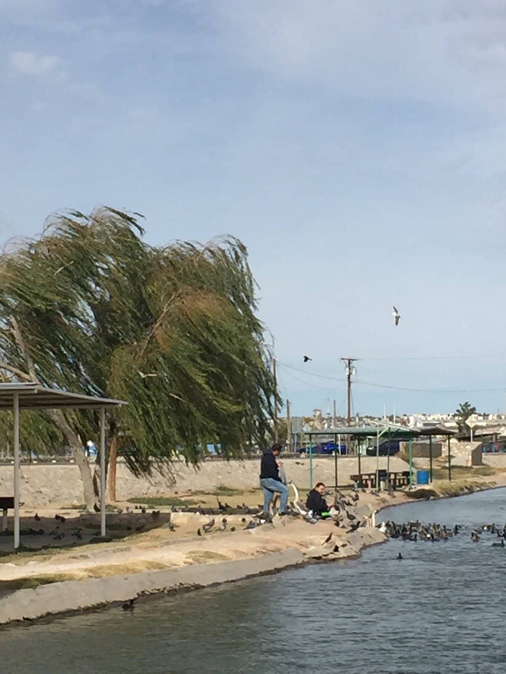 All-Abilities Playground