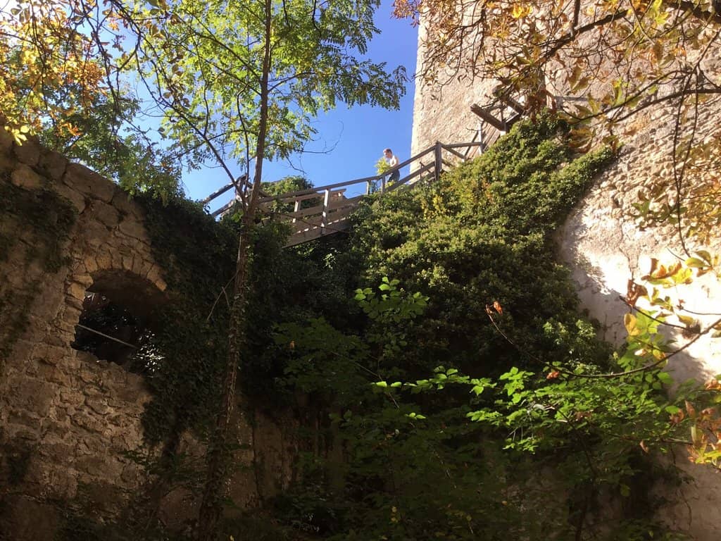 Hidden Courtyard & Cellars