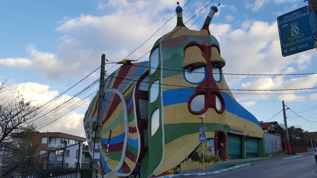 Photogenic Backdrops