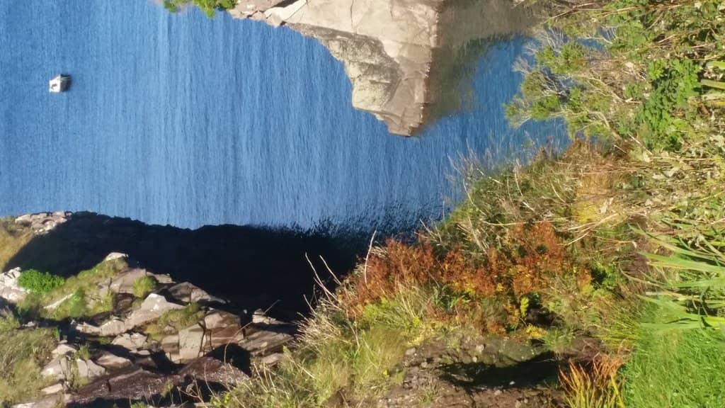Vertical photo