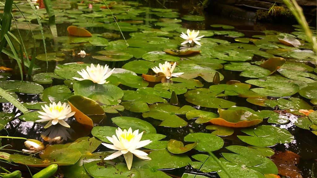 Family-Friendly Exploration