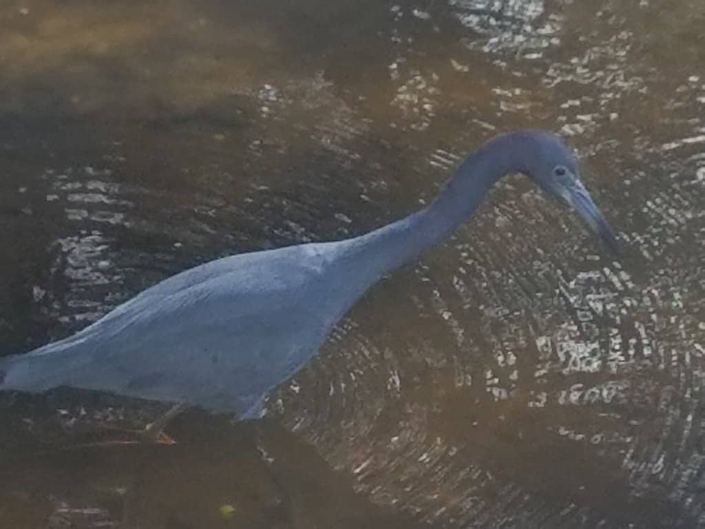 Kid-Friendly Fun Zone