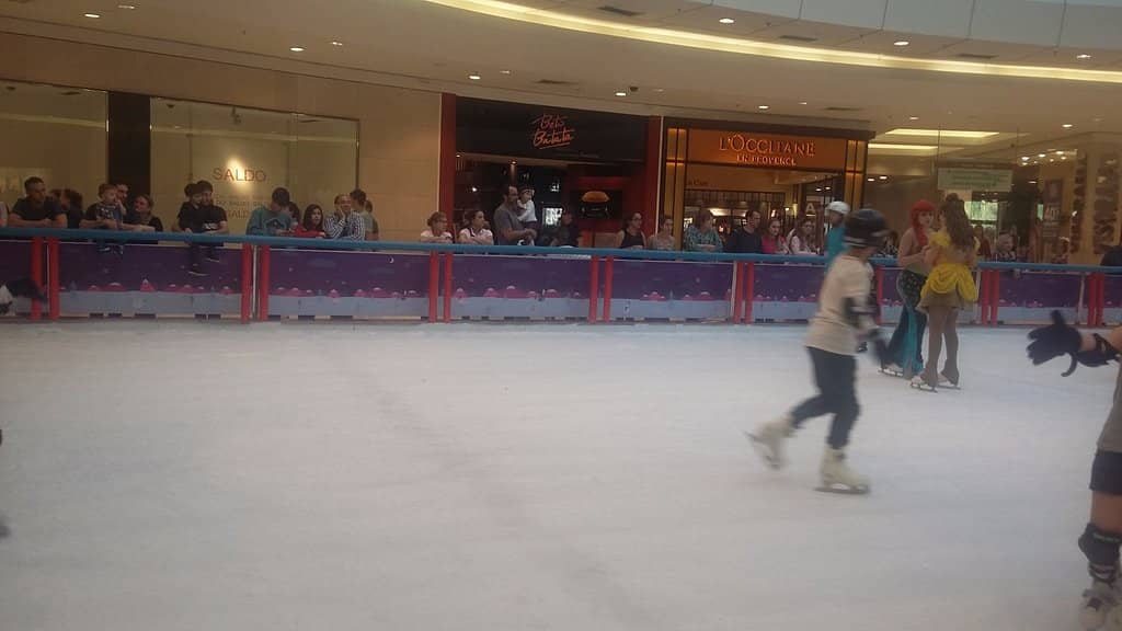 Capybara Spotting at Parque Barigui