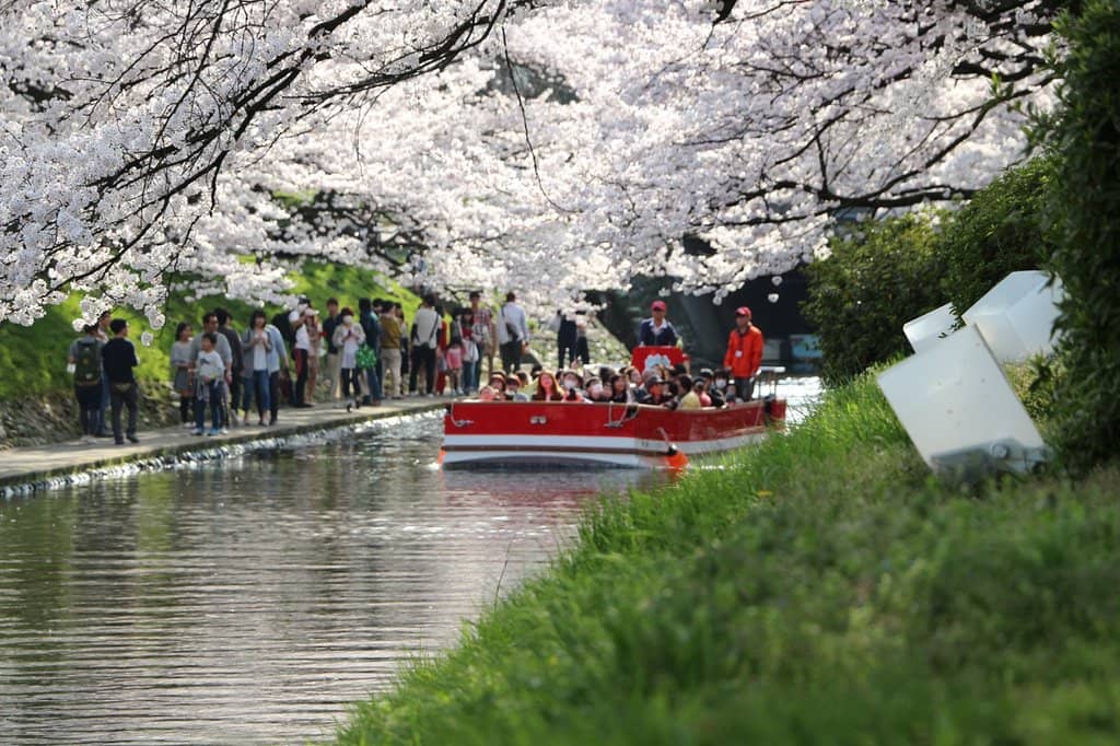 Interactive Boat Driver Commentary