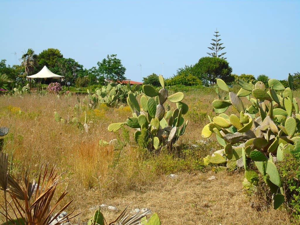 Easternmost Point of Italy Views